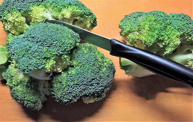Broccoli Fry Recipe 5minutemunch
